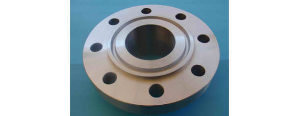 Ring Type Joint Flanges